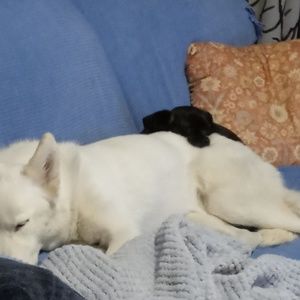 Meet your Posher, Debra